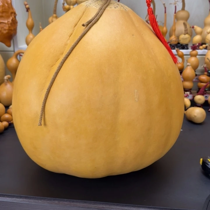 扇子运***工166666888888888