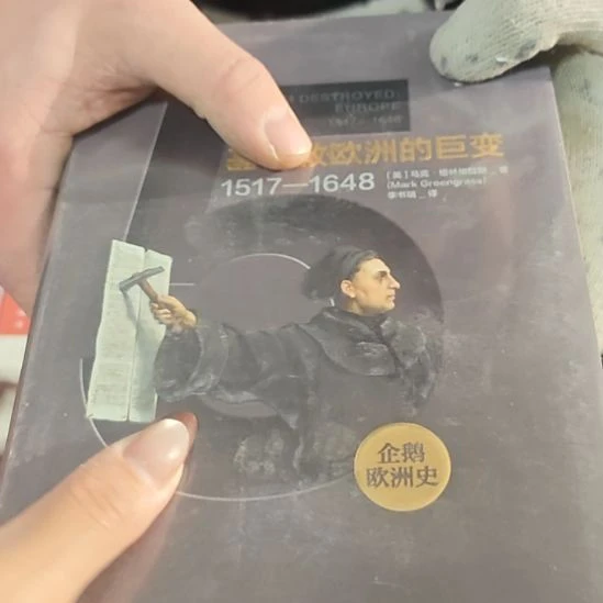 欧洲的巨变精装塑封库存书全新