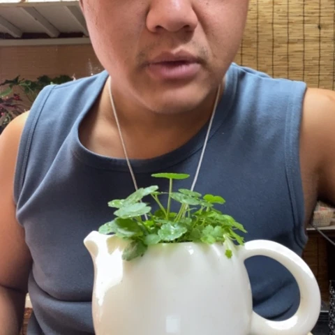 红陶最**样一物一拍所见即所得102