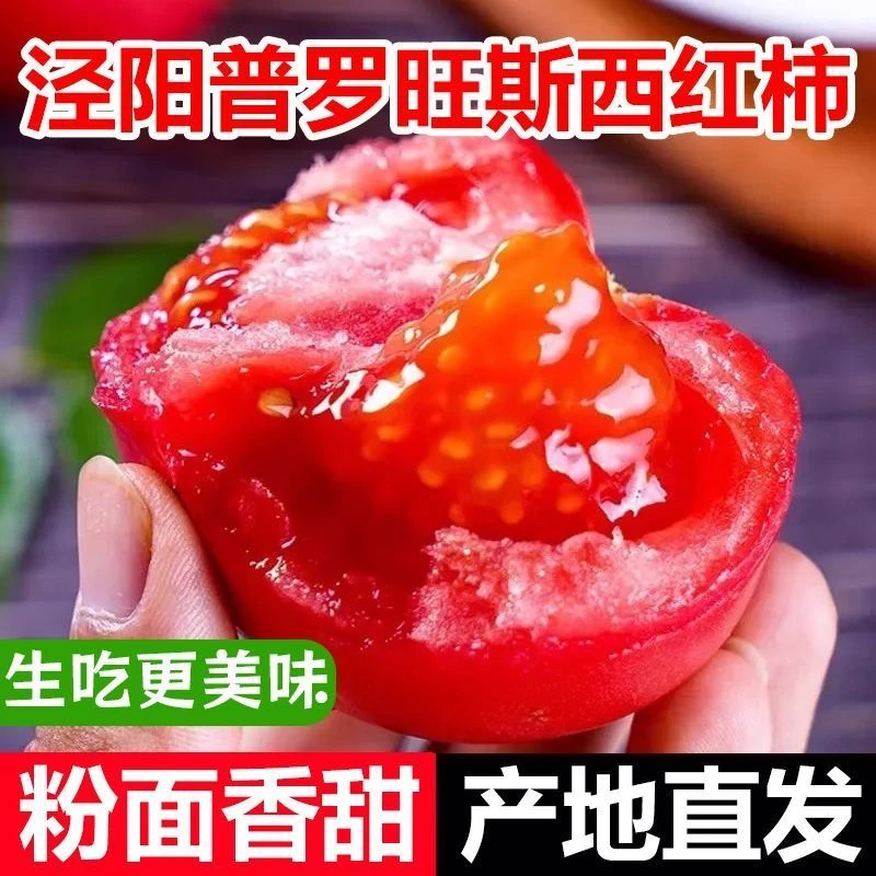 正宗普罗旺斯水果西红柿新鲜现摘生吃沙瓤番茄农家自然熟蔬菜批发