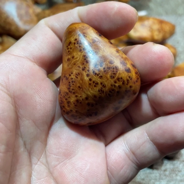 柏木（崖柏）其他把