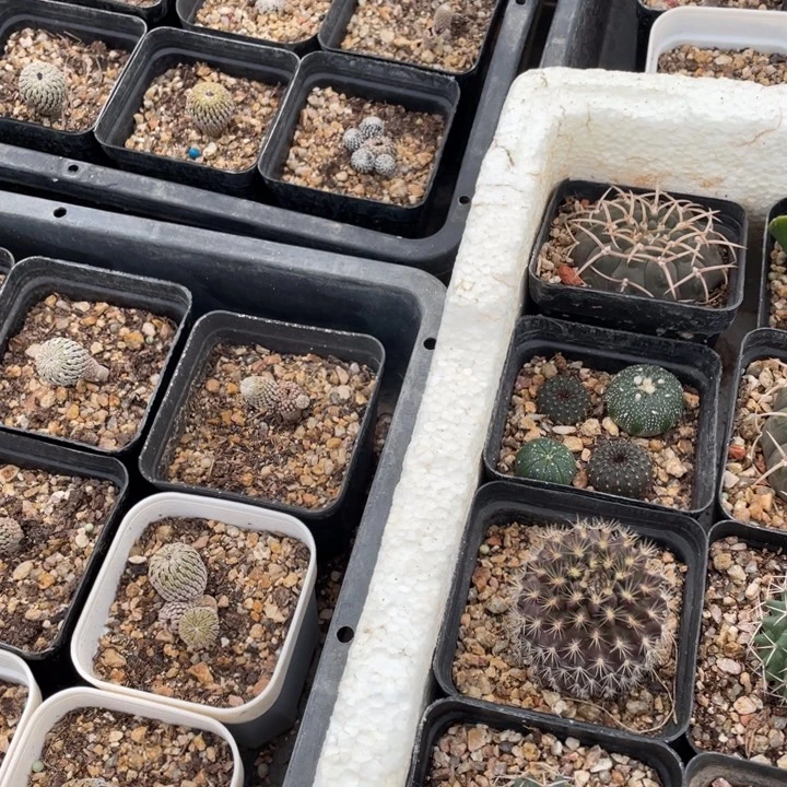 九***刘02200000000000000