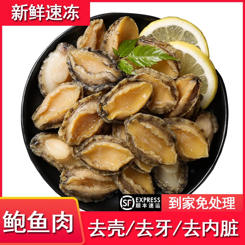 新鲜鲍鱼肉冷冻去壳小鲍鱼鲜冻半成品商用红烧煲汤烧烤海鲜500g
