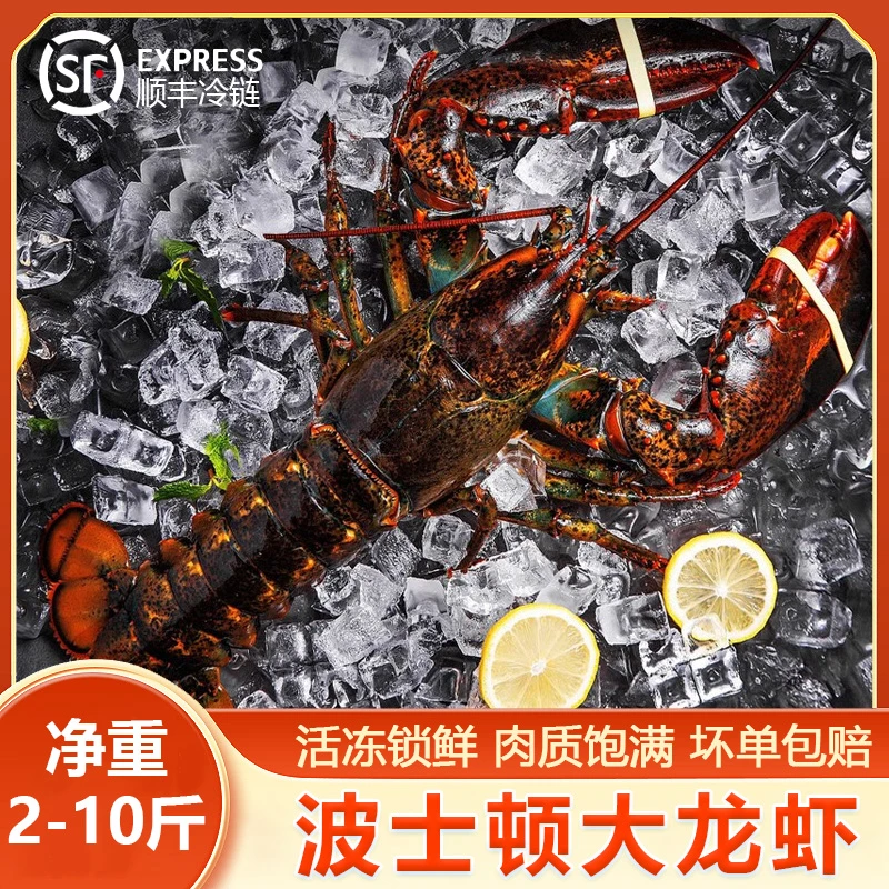加拿大进口波士顿龙虾活冻锁鲜大龙虾冷冻顺丰包邮