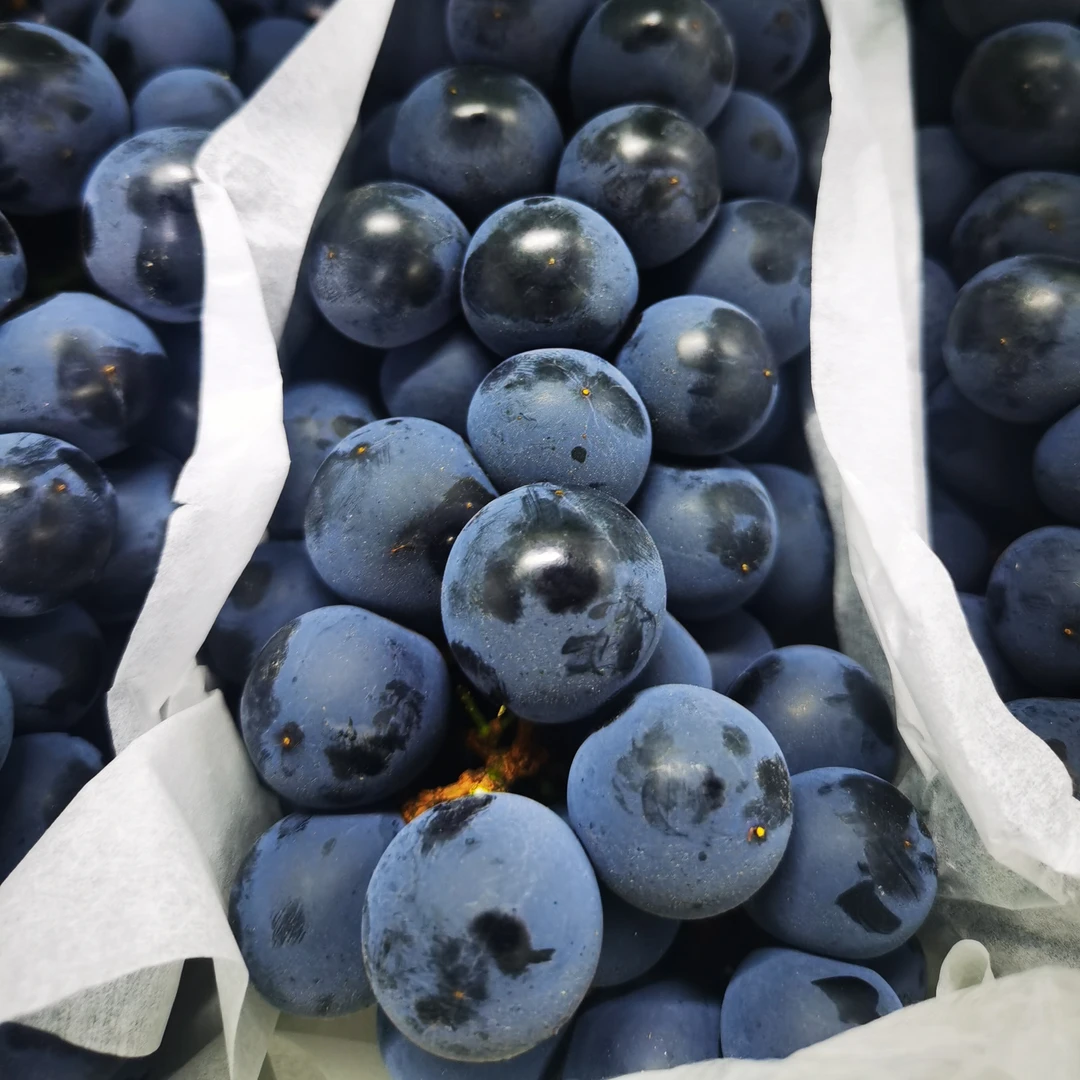 【原箱发货】蓝莓葡萄2.9-3.1斤左右云南省