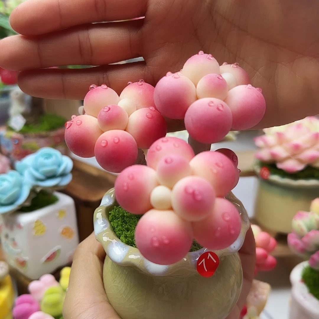 春***竹专拍，不退不换！！！