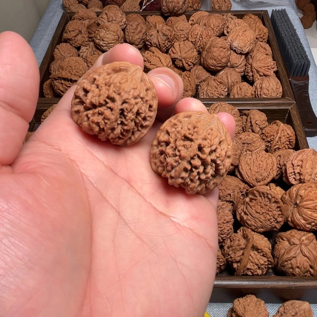 36尺满天星核桃核桃
