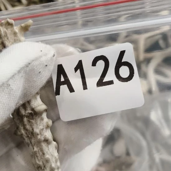 祥***和鹿角角鹿角角鹿鹿角角