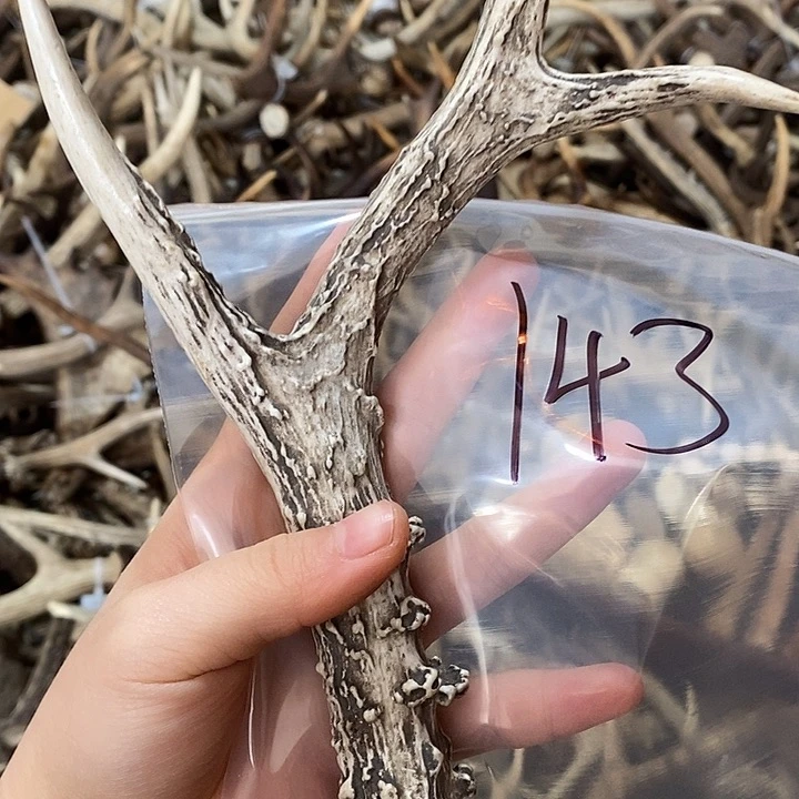 大理石磁石鹿角鹿角鹿角鹿角鹿角鹿角