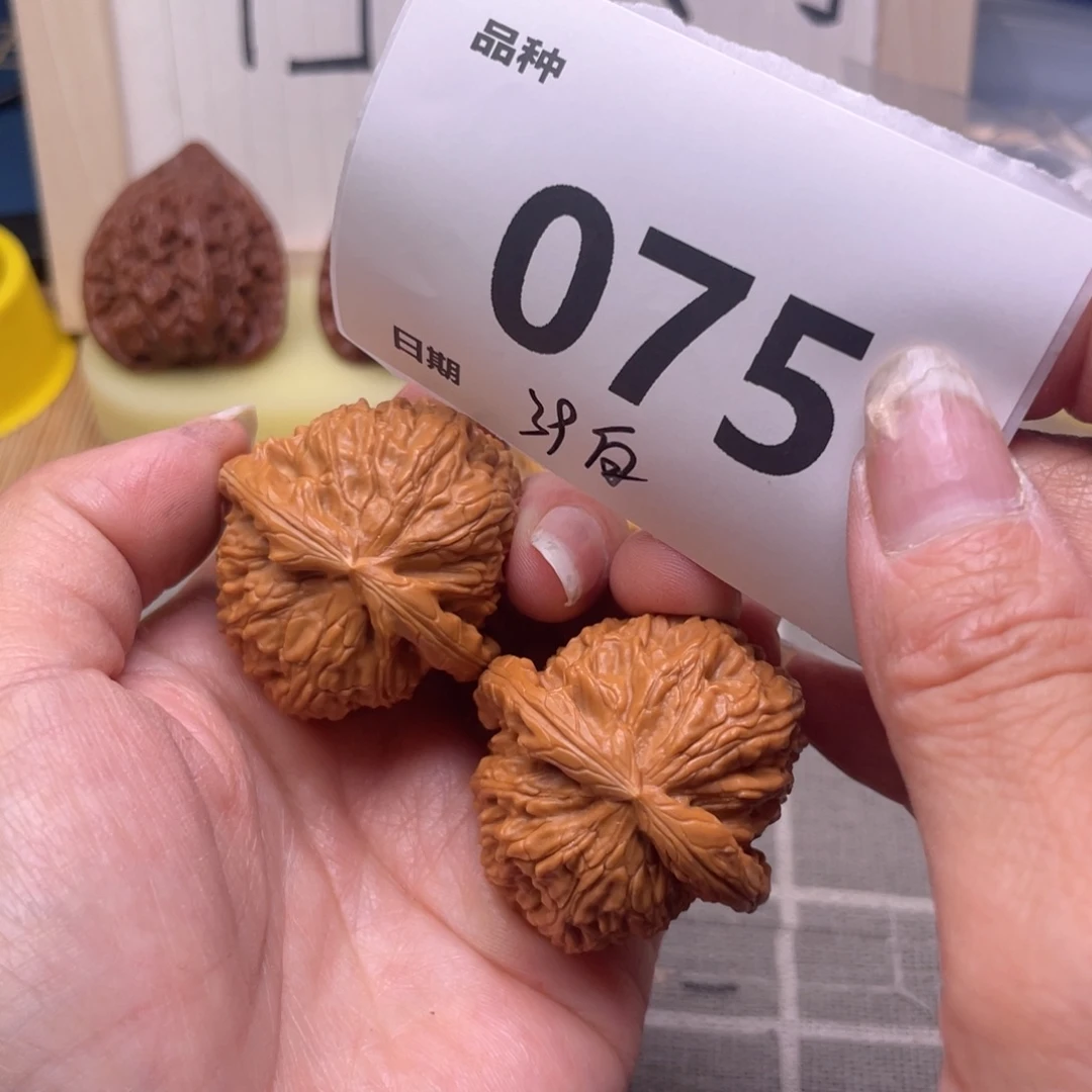 把件文玩核桃75号39白狮子
