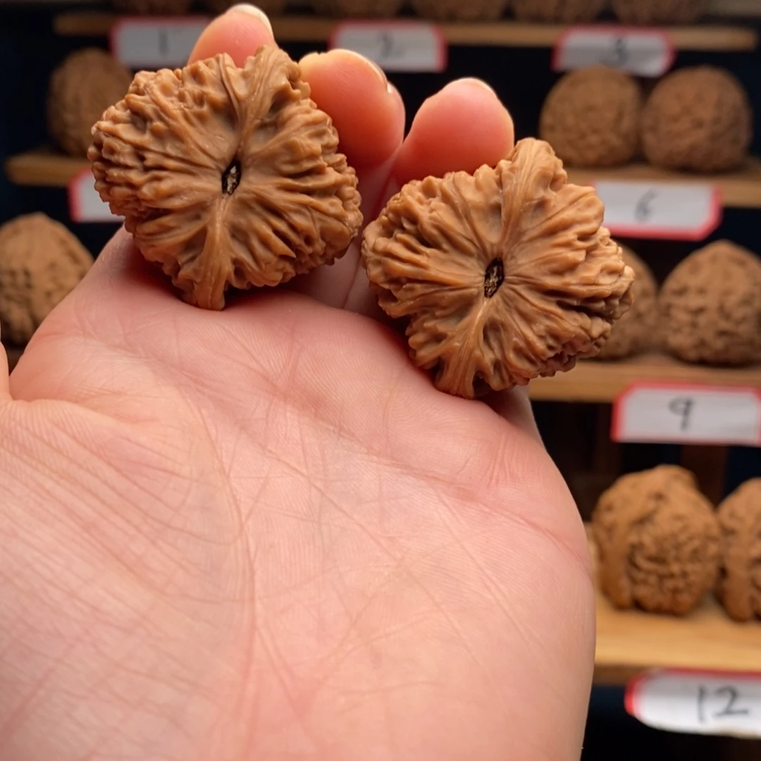 *****南将石文玩核桃38