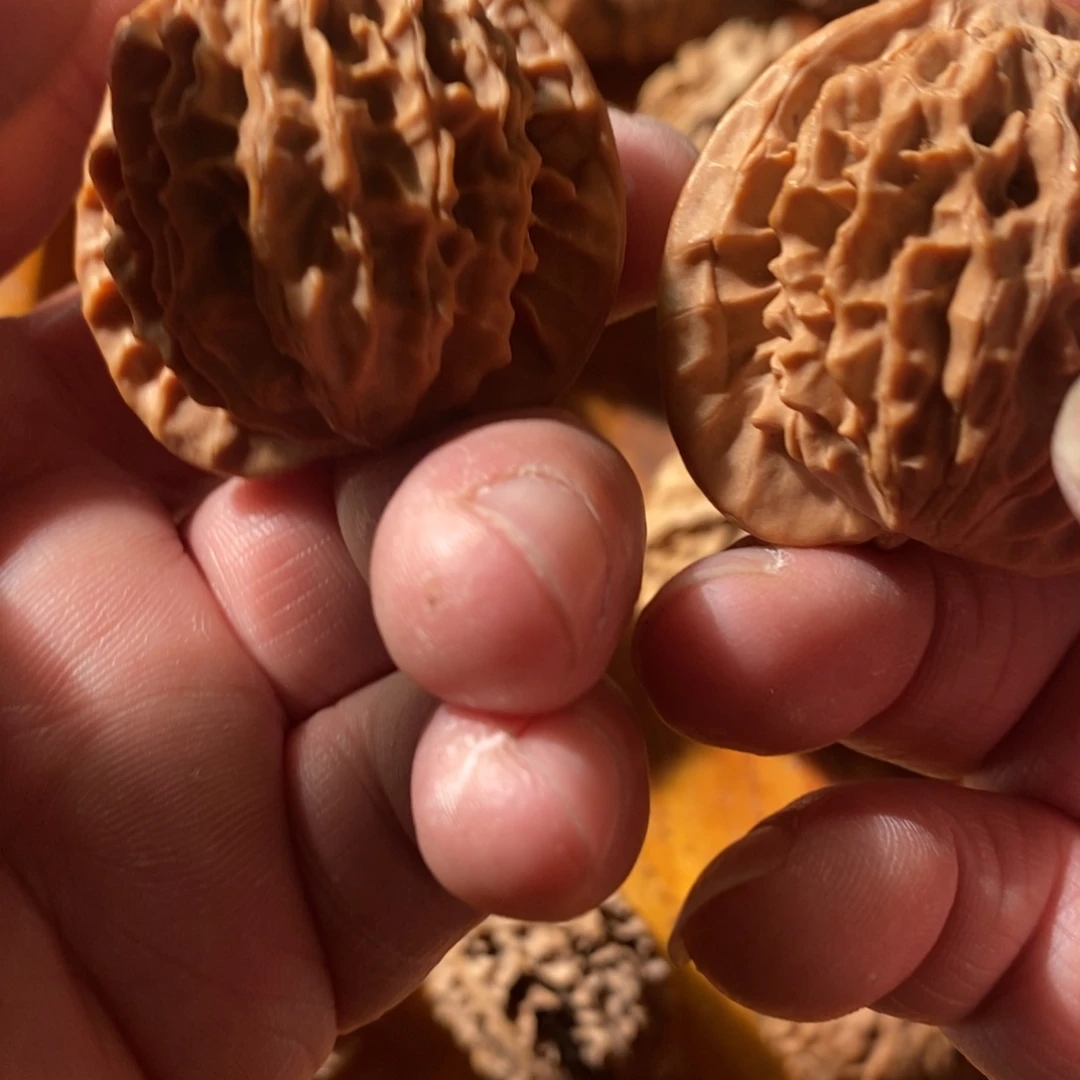 秦岭南侧为青石山景