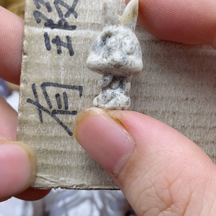 颈饰未镶嵌硅化珊瑚（珊瑚玉）独**?