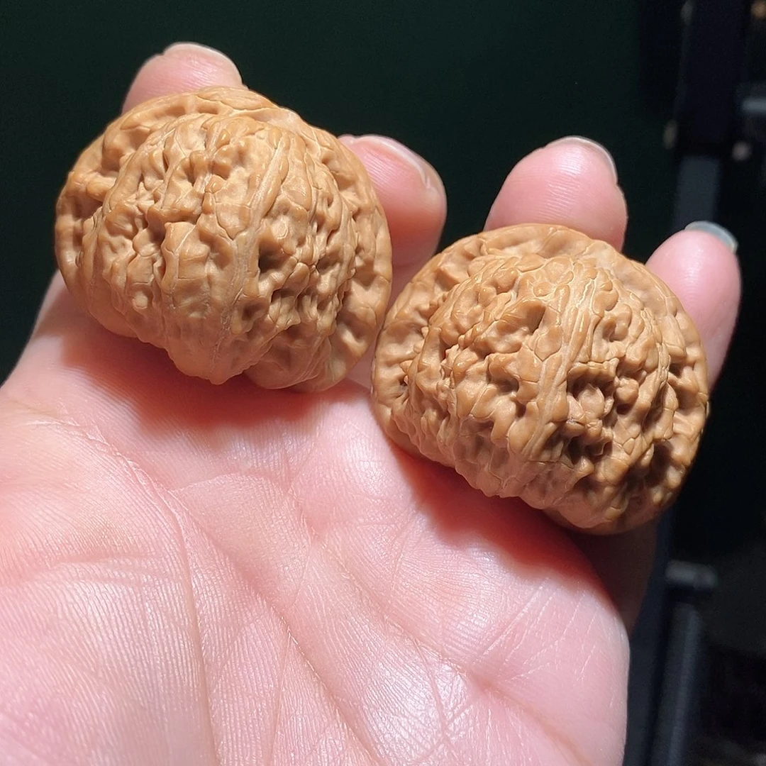 把件文玩核桃42白狮子全品