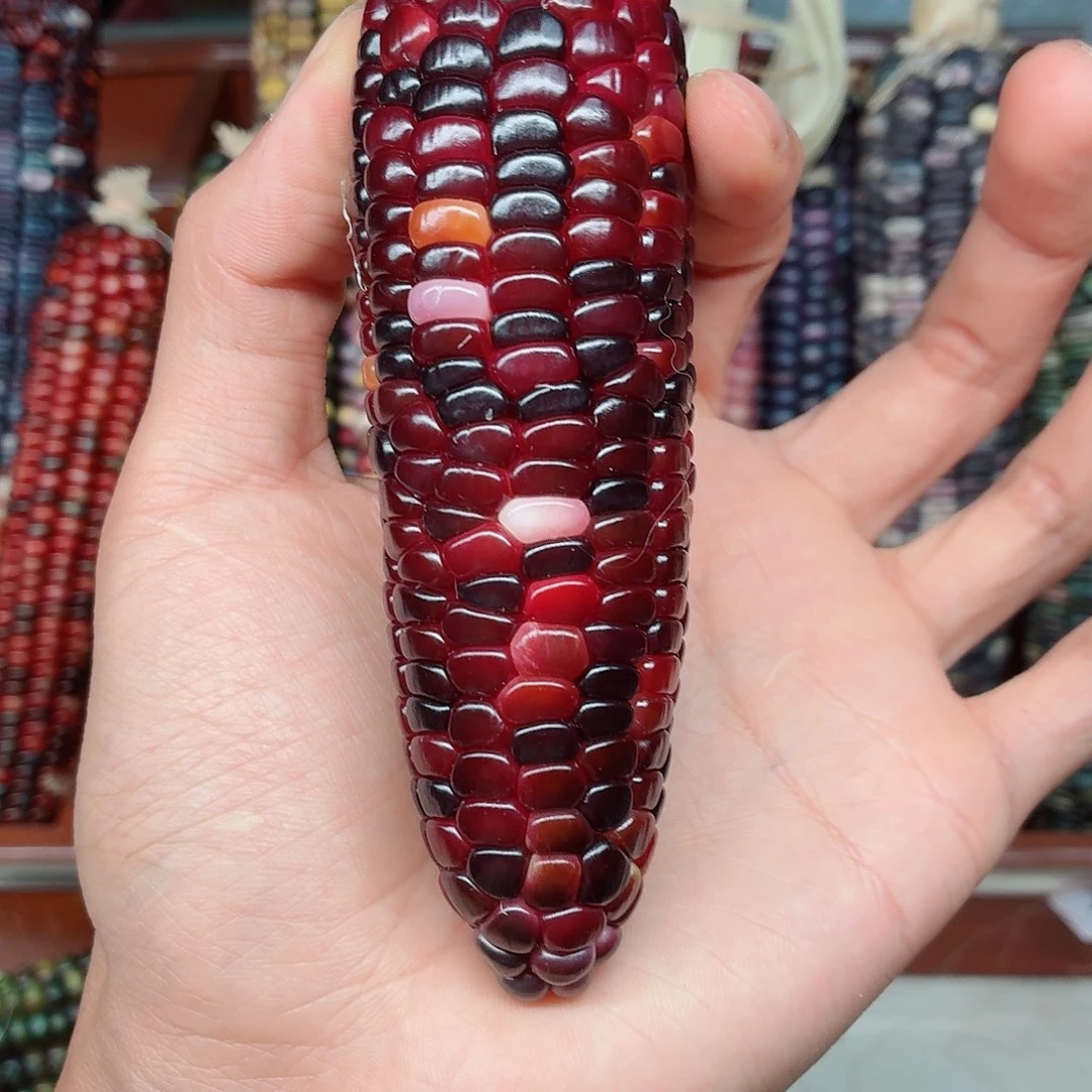 -***0吊坠白玉菩提文玩玉米毛料精品