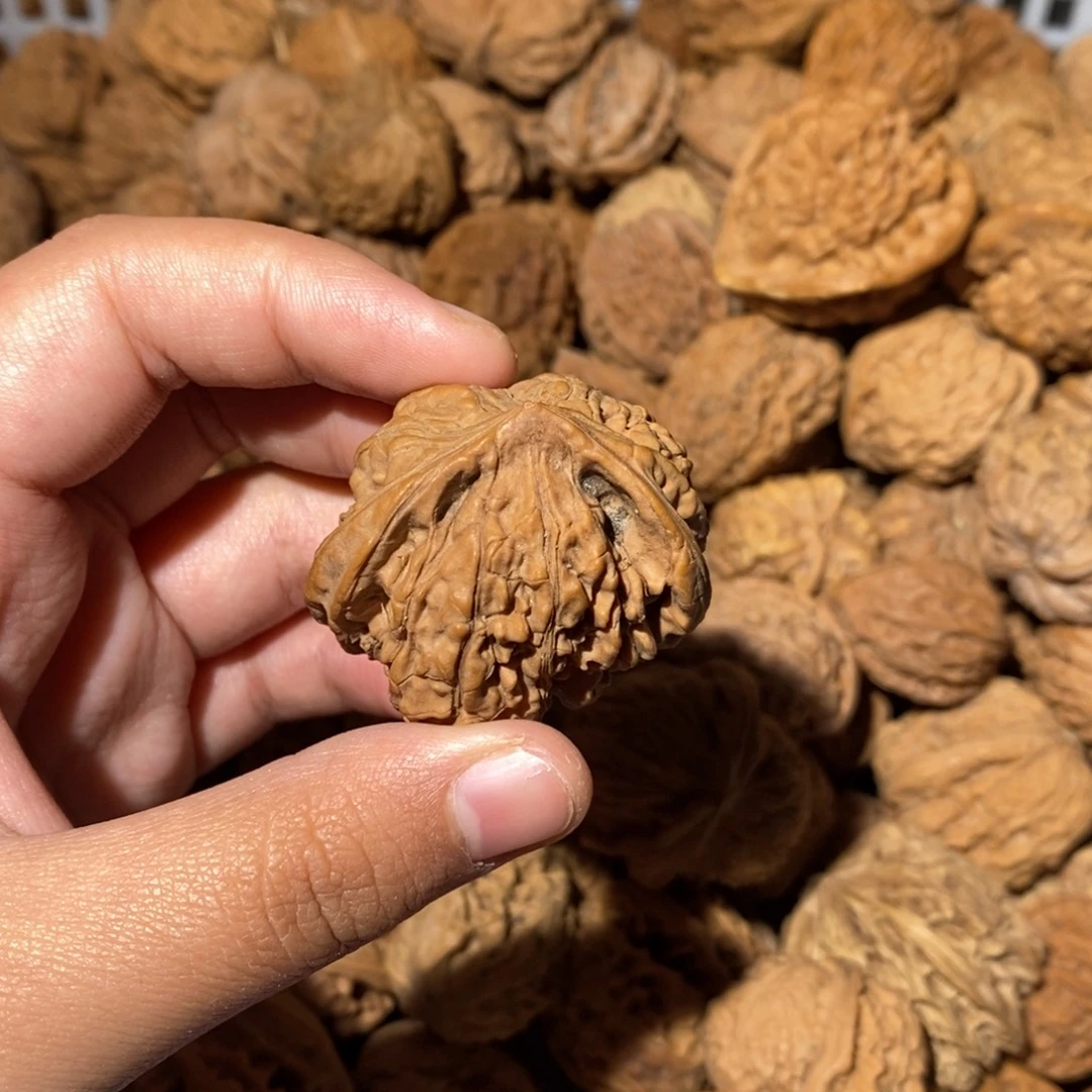 大***闪大叶紫檀（黑酸枝木类）