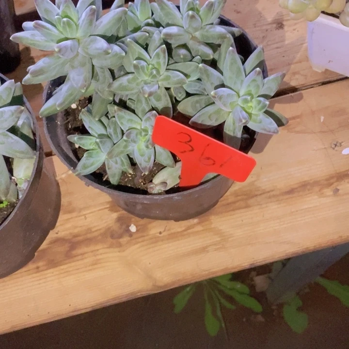 在家闲不下去时还不