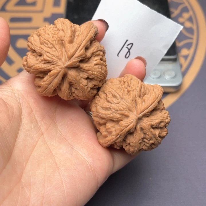文玩核桃把件45大粗筋 18号