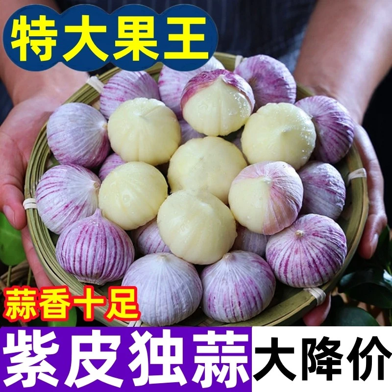 云南紫皮独头大蒜香辣饱满新鲜调味农家特产农家菜
