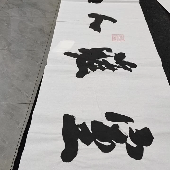 翰墨申国栋老师作品