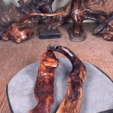 黄花梨/降香黄檀伟****1