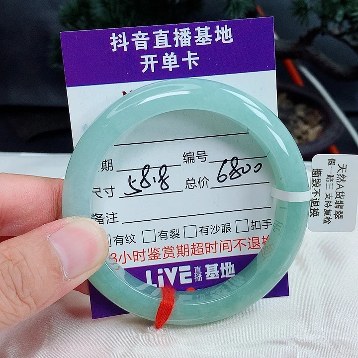 未镶嵌手镯翡翠58.8