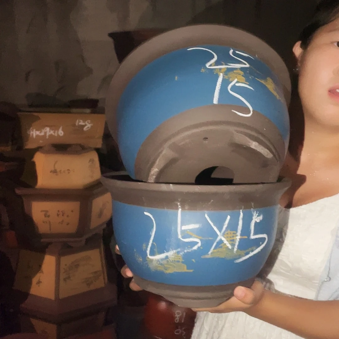 25+25蓝色花盆花盆花盆花盆