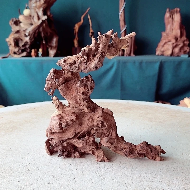 黑果木三****星504金丝红木羊蹄甲半成品