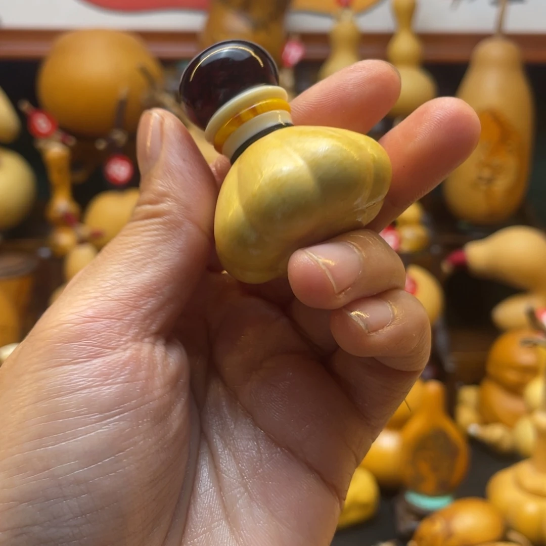 远***念大自然的秘密第十一节的故事第二