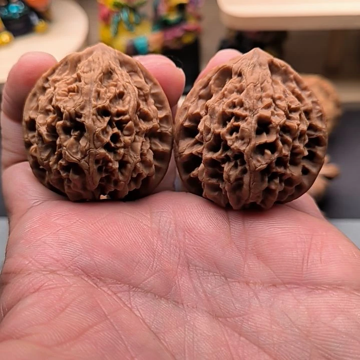 核桃山地野牛40尺