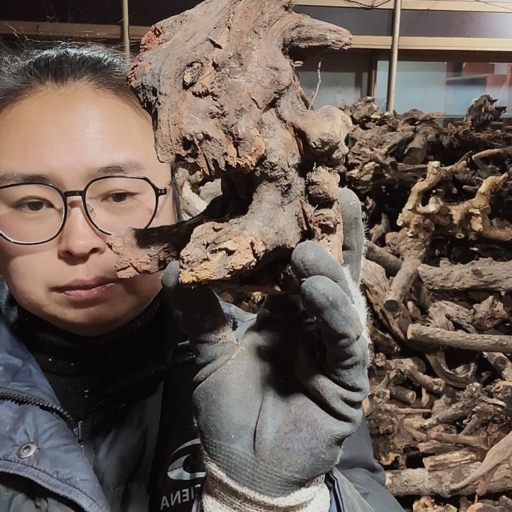 香榧木东*火琉璃的毛料摆件