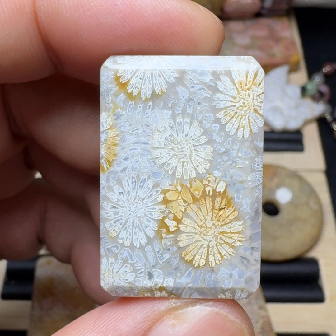 未镶嵌纯天然色有机玉石保真色硅化玉