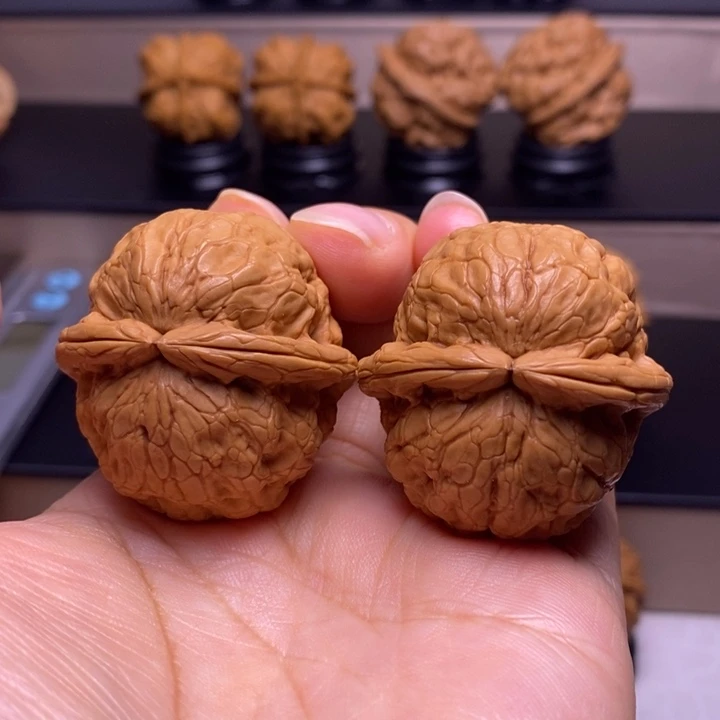 把件文玩核桃金龟玉甲43
