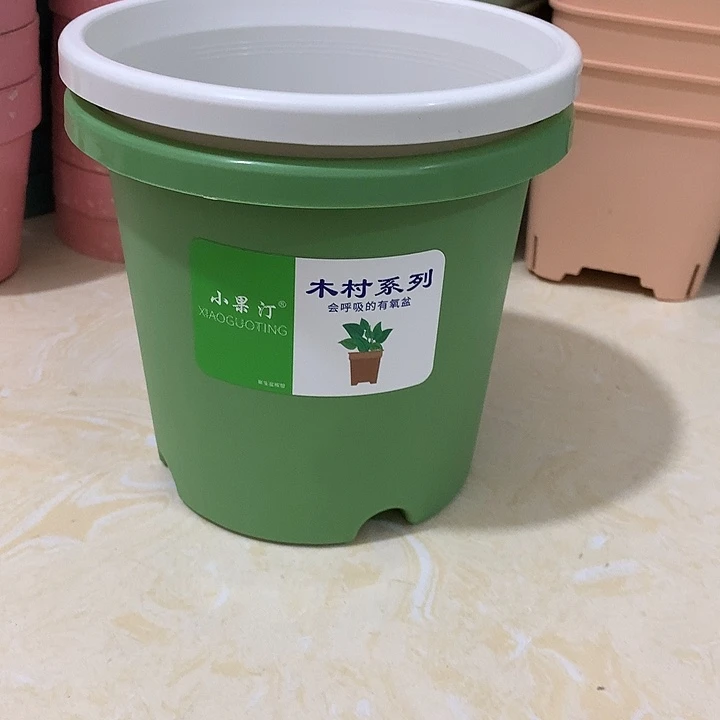 小果汀15口绿2白3个