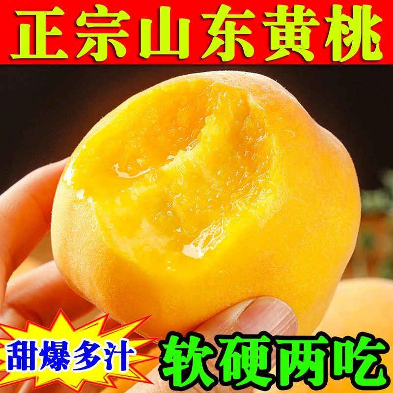 【蒙阴黄桃】黄毛桃新鲜水果现摘现发香甜可口桃子