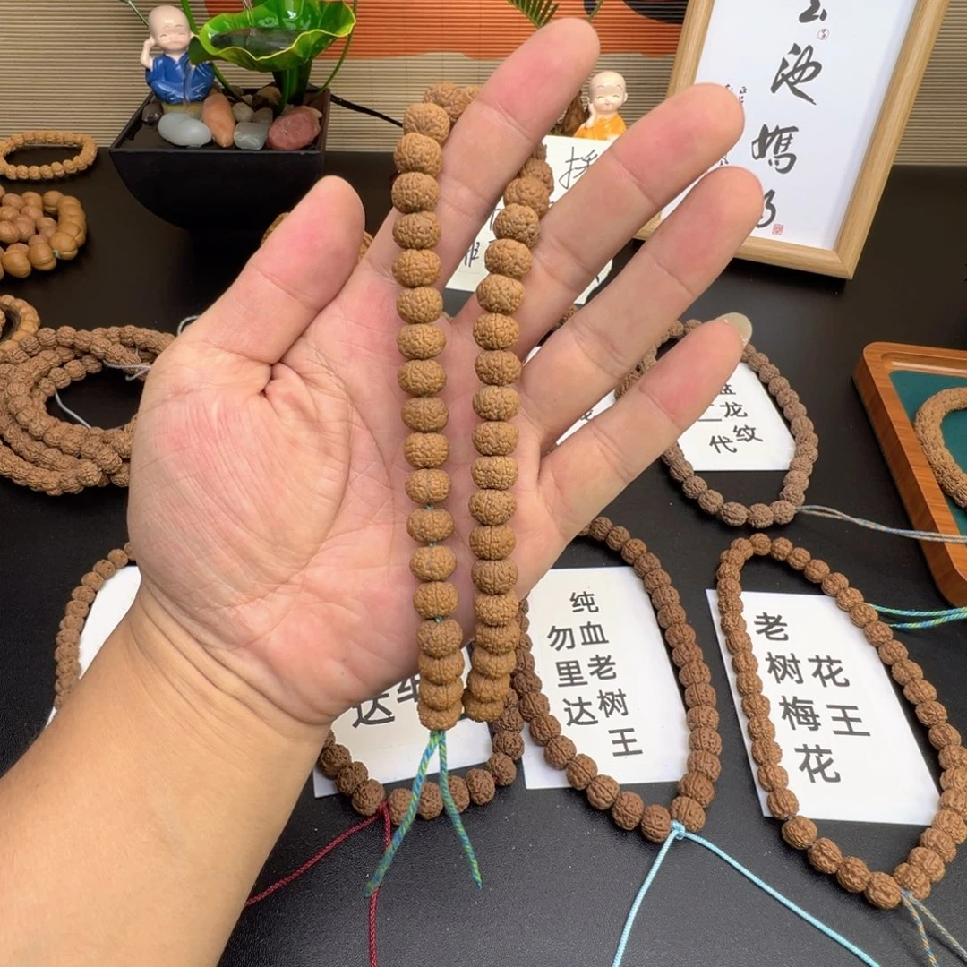手串金刚菩提金刚菩提子毒药龙鳞手持一条新人见面礼闭眼入