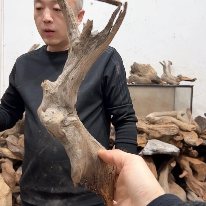 柏木至*宝我们的生活也是如此吧