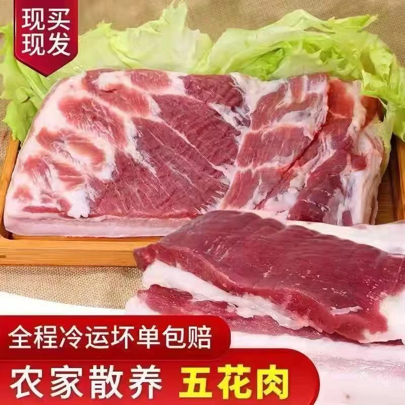 精品跑山猪农家土猪8斤新鲜带皮五花肉现杀整条顺丰冷链发货