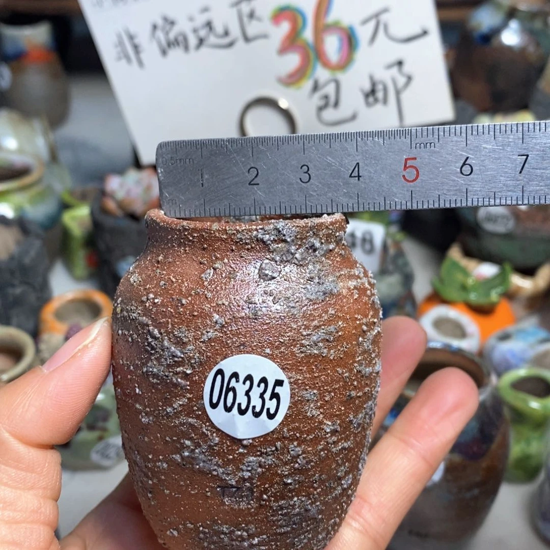 拍5送一个小礼物花盆