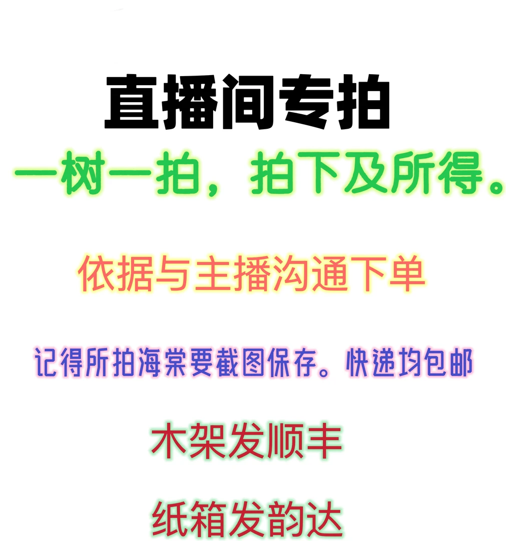 基地培育，海棠品种多样化，盆栽海棠