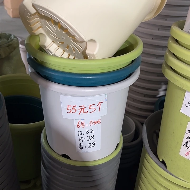 微瑕6#口径32无托果绿5个