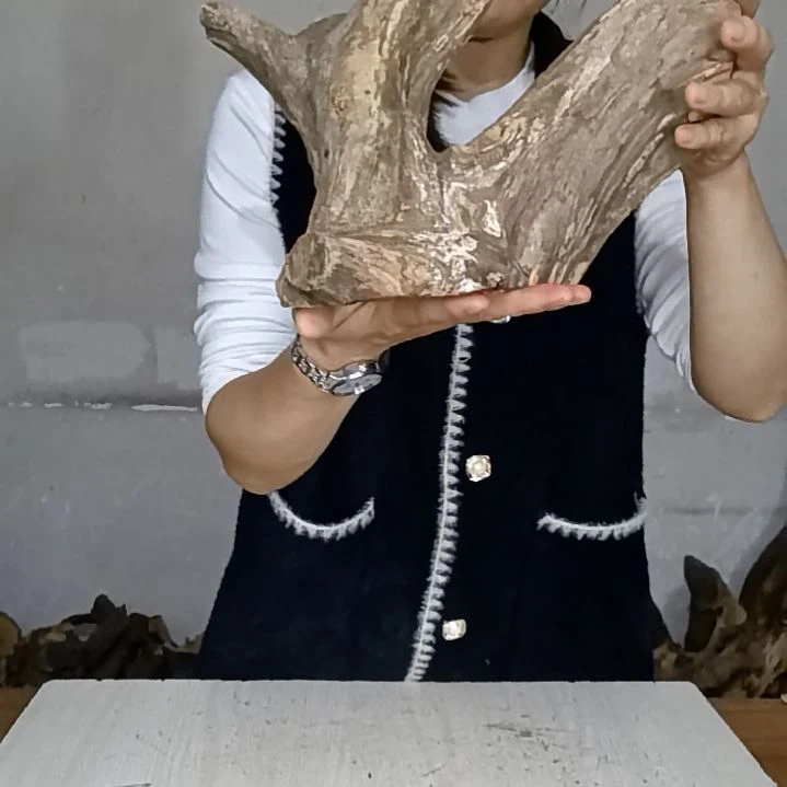 ****٭木太行崖柏摆件摆件摆件