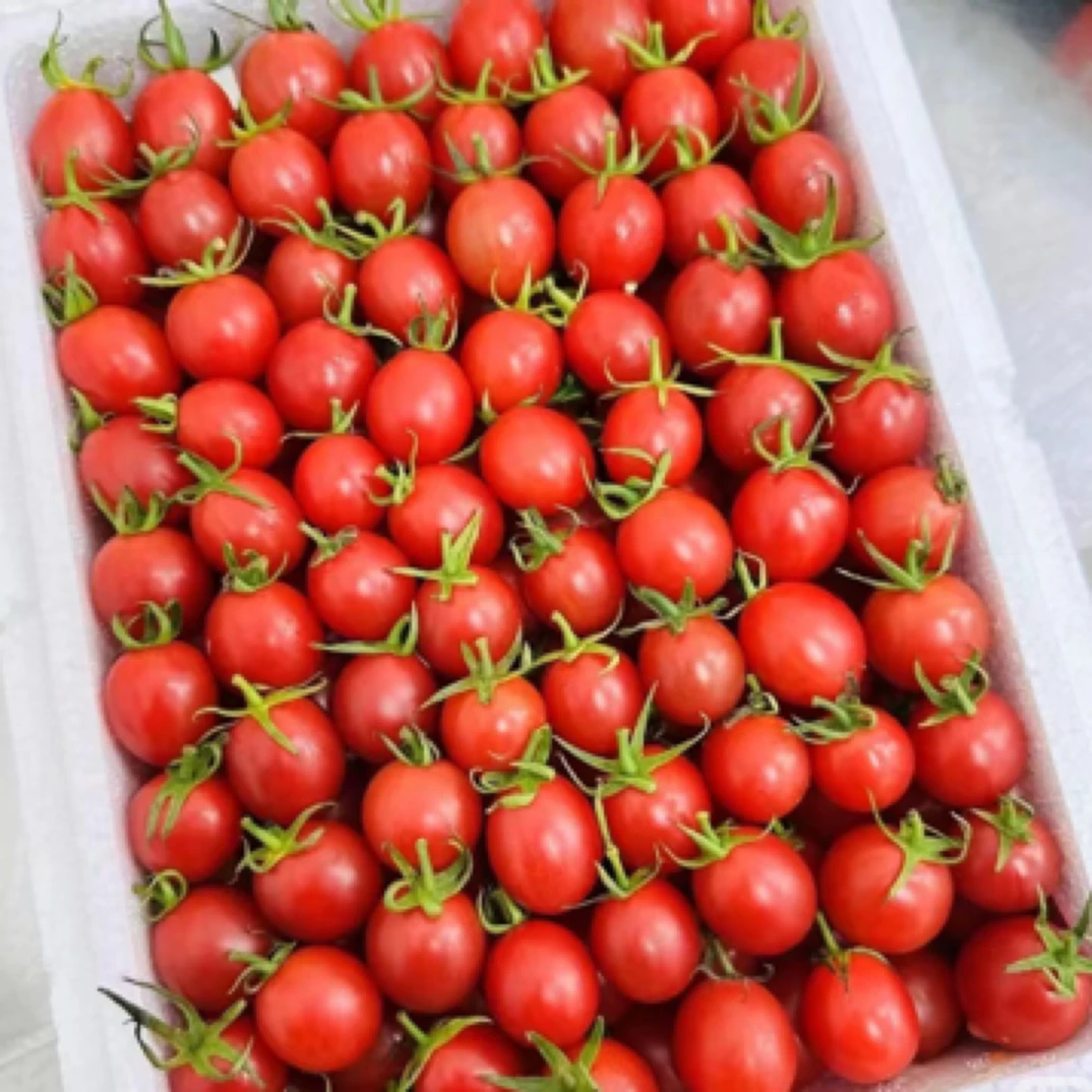 郑金钱千喜整箱2.5斤左右