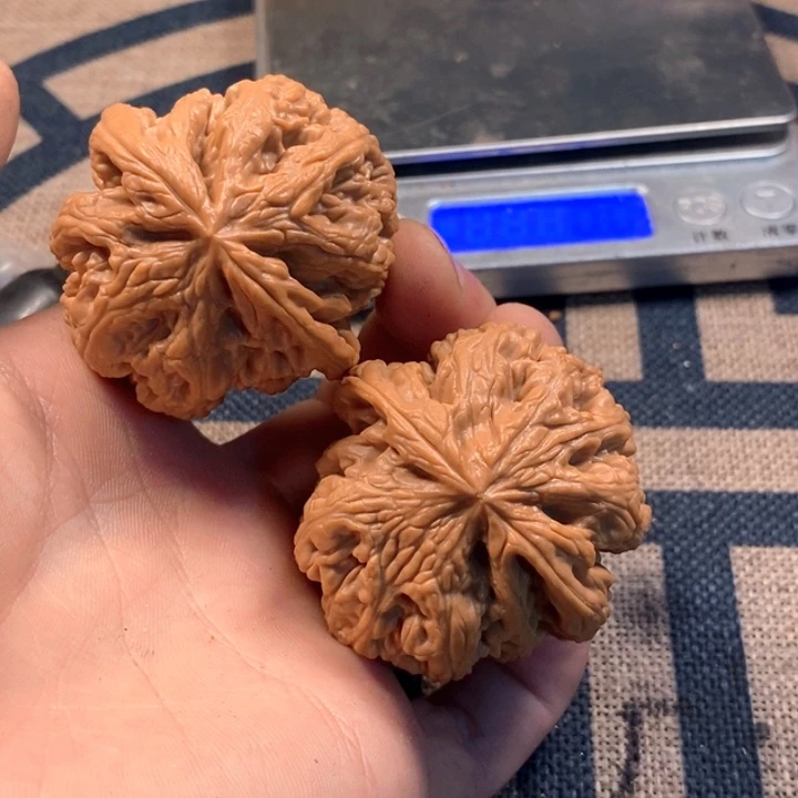 文玩核桃吊坠全品粗筋