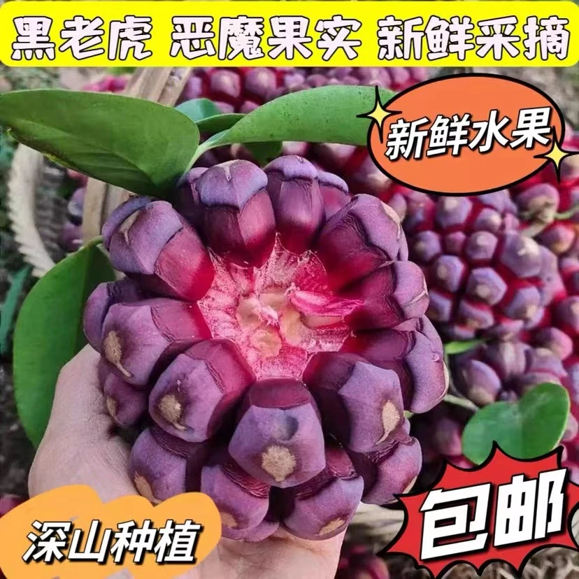 【顺丰空运】头茬果黑老虎布福娜果恶魔果实新鲜稀奇古怪罕见水果