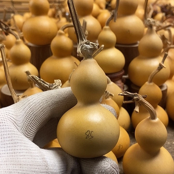 文玩葫芦 完美主义者 慎拍85