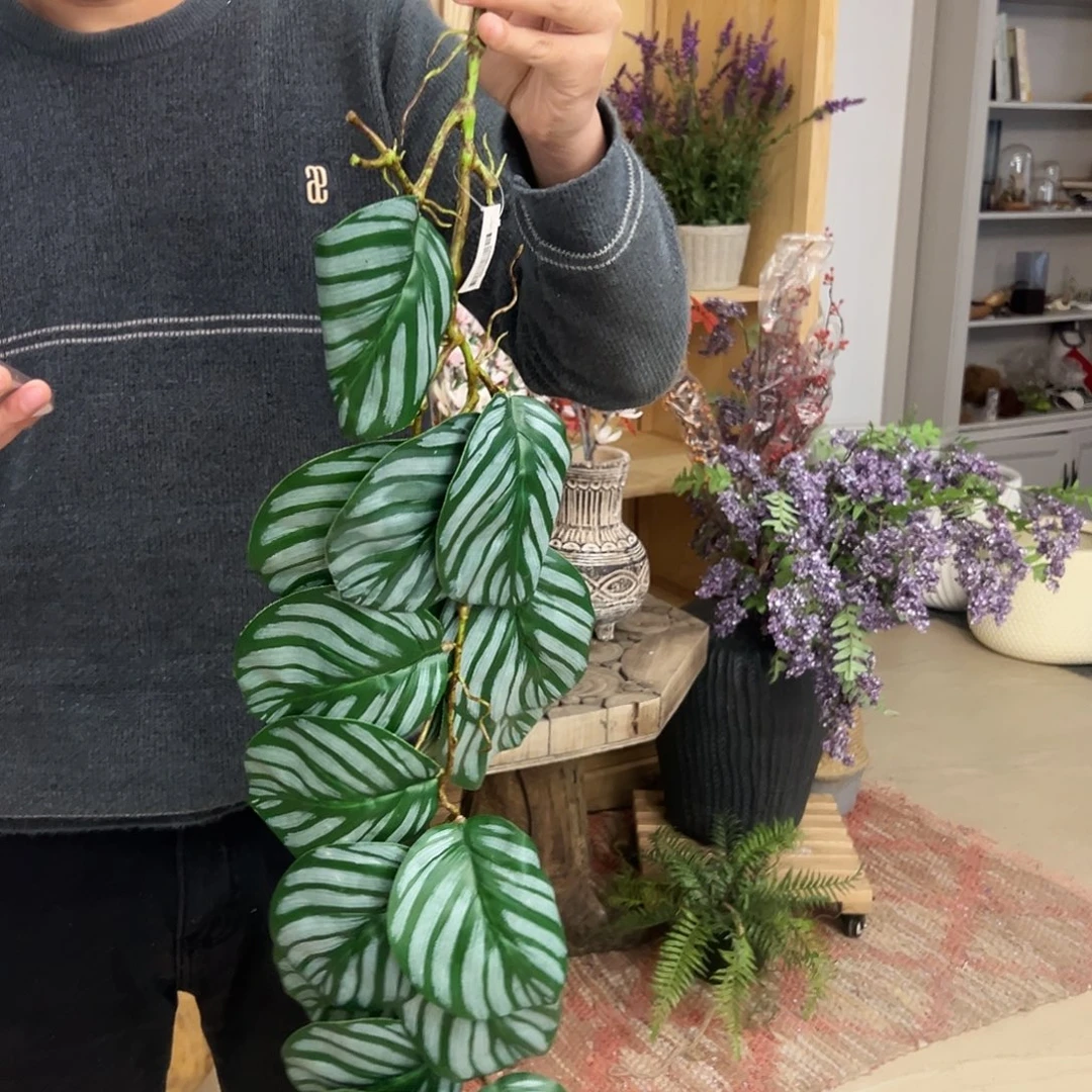 抖音直播福利一根