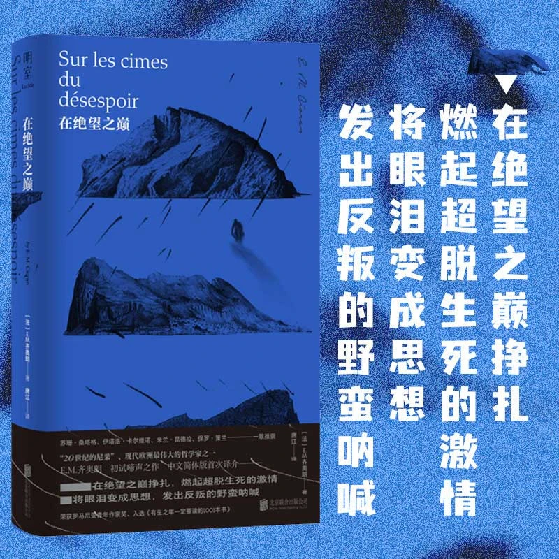 在绝望之巅 中文简体版(法)EM齐奥朗著 被称为20世纪尼采 哲学书