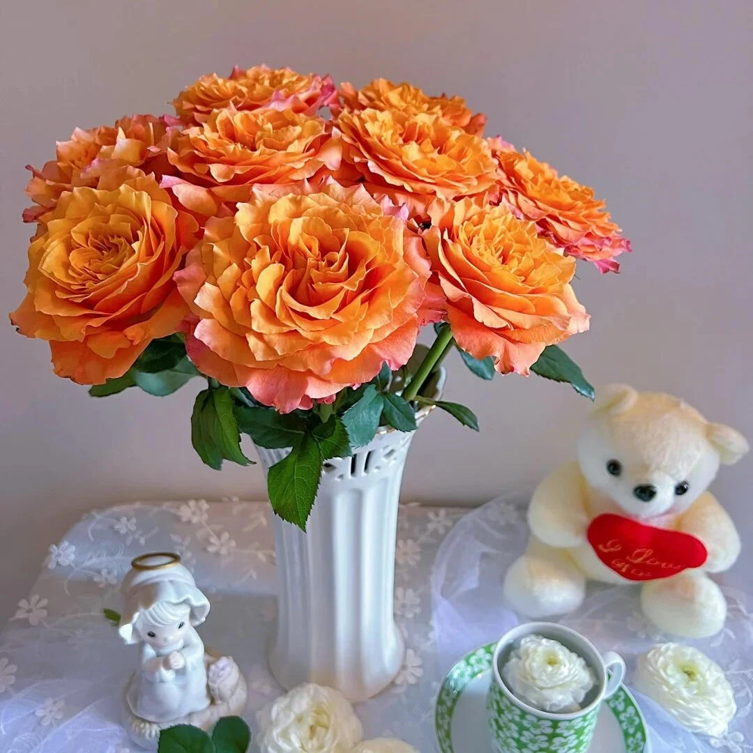 【20支火烈鸟玫瑰】全场任意两单包邮到家