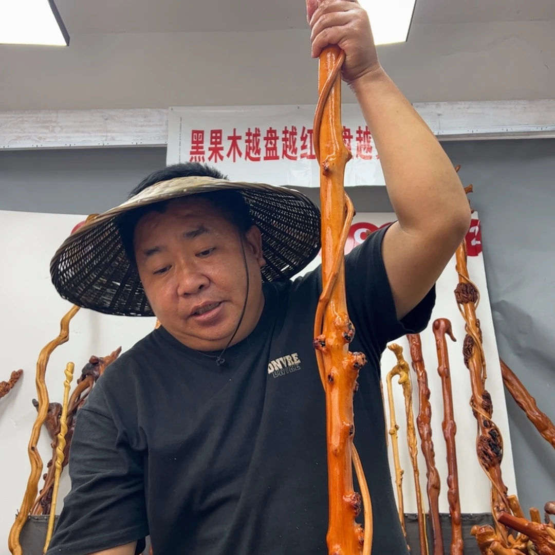 思***兔黑果木其他黑果木279